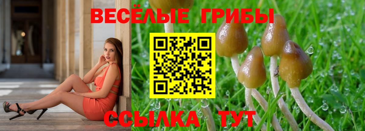 Галлюциногенные грибы прущие грибы  Вход с VPN  Ленинск-Кузнецкий 
